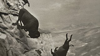 EDDINGTON / Weltpremiere im Wettbewerb der Filmfestspiele von Cannes - deutscher Kinostart am 17. Juli 2025