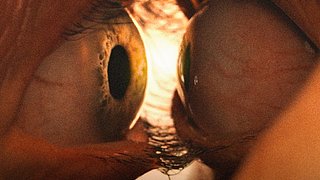 TOGETHER - UNZERTRENNLICH / Deutschlandpremiere auf dem Filmfest München / ab 31. Juli 2025 im Kino!