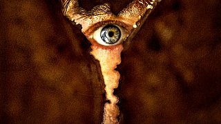 Trailer zu RETURN TO SILENT HILL / Ab 5. Februar 2026 im Kino!