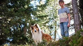 Teaser-Trailer zu LASSIE - EIN NEUES ABENTEUER / Ab 27. Juli 2023 im Kino